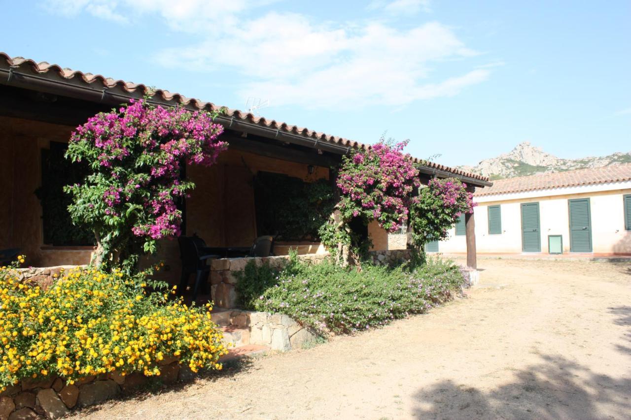 Agriturismo Lu Branu 阿尔扎凯纳 外观 照片