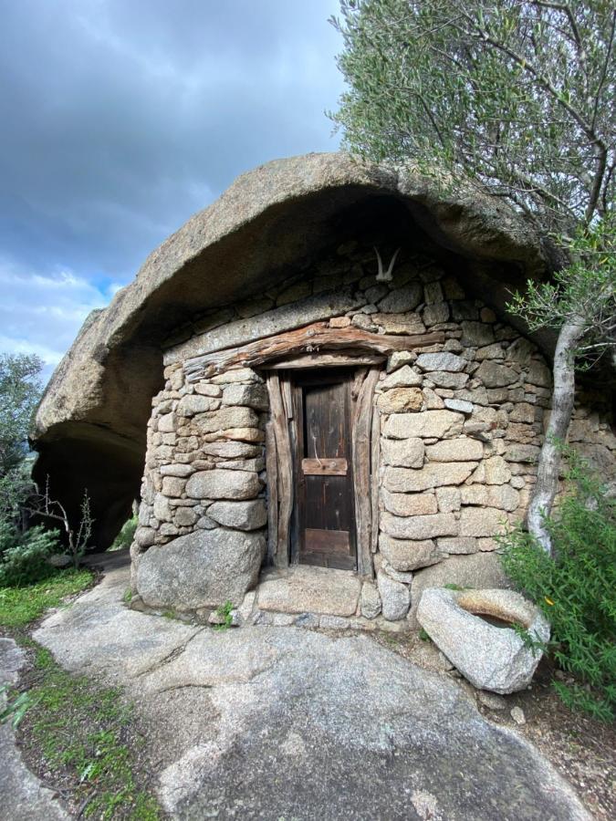Agriturismo Lu Branu 阿尔扎凯纳 外观 照片
