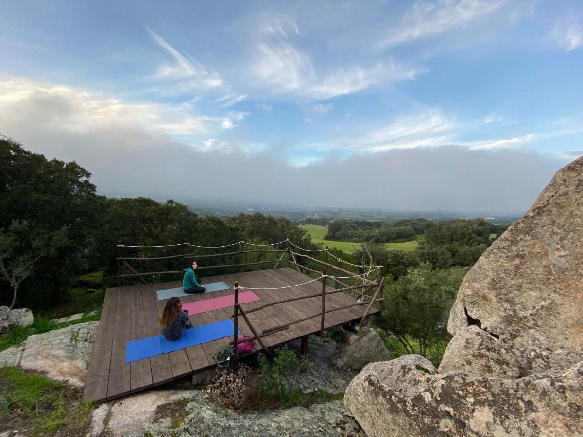 Agriturismo Lu Branu 阿尔扎凯纳 外观 照片