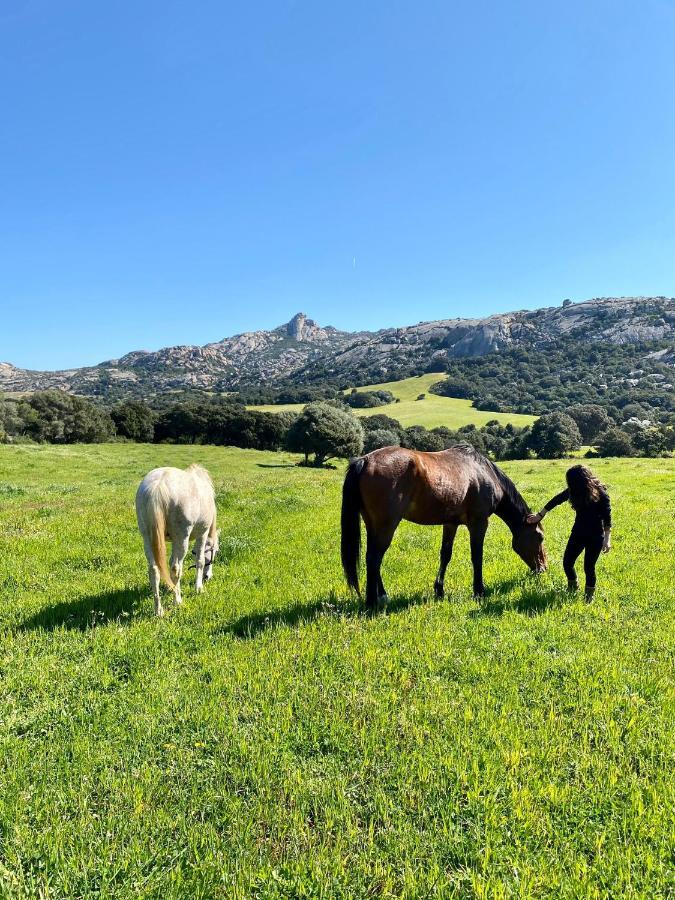Agriturismo Lu Branu 阿尔扎凯纳 外观 照片