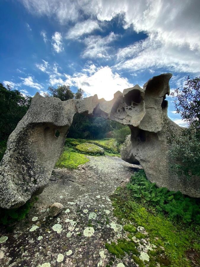 Agriturismo Lu Branu 阿尔扎凯纳 外观 照片