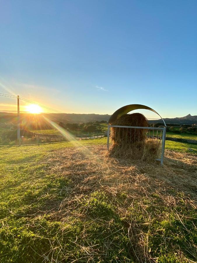 Agriturismo Lu Branu 阿尔扎凯纳 外观 照片