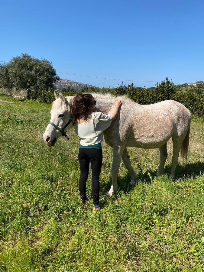 Agriturismo Lu Branu 阿尔扎凯纳 外观 照片