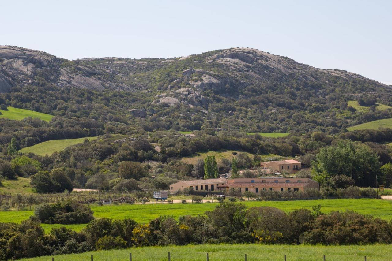 Agriturismo Lu Branu 阿尔扎凯纳 外观 照片